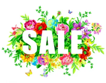 Special Offers