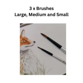 3 watercolour brush set