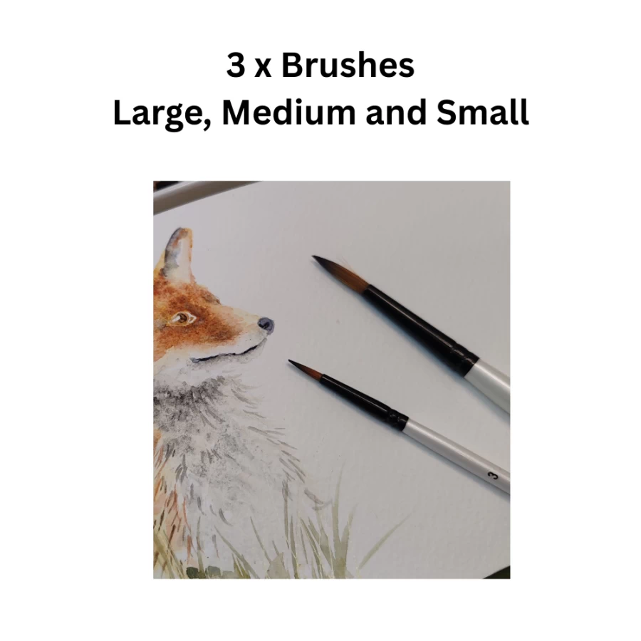 3 watercolour brush set