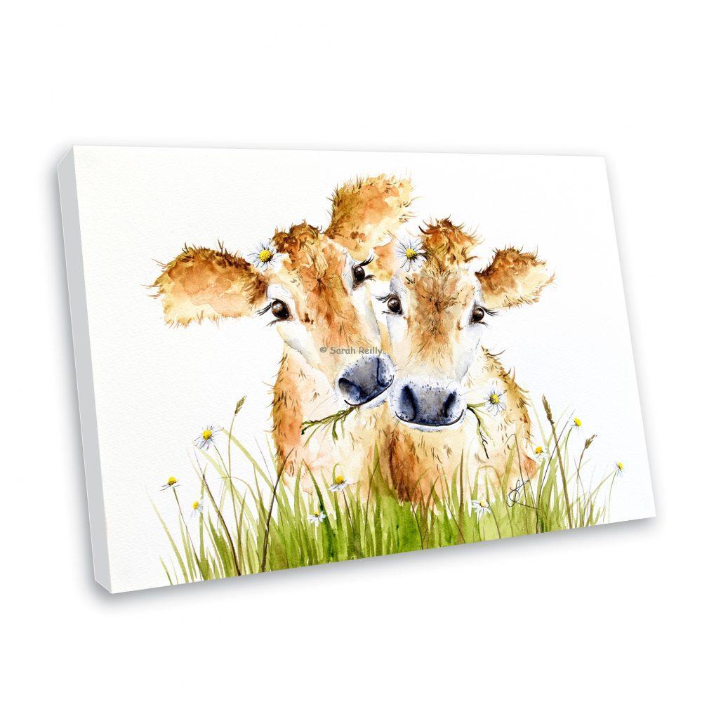 Daisy Moos Canvas Print