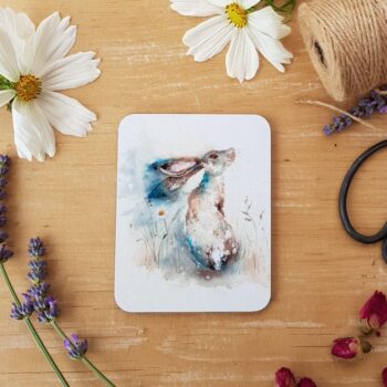 Daydreamer Coaster