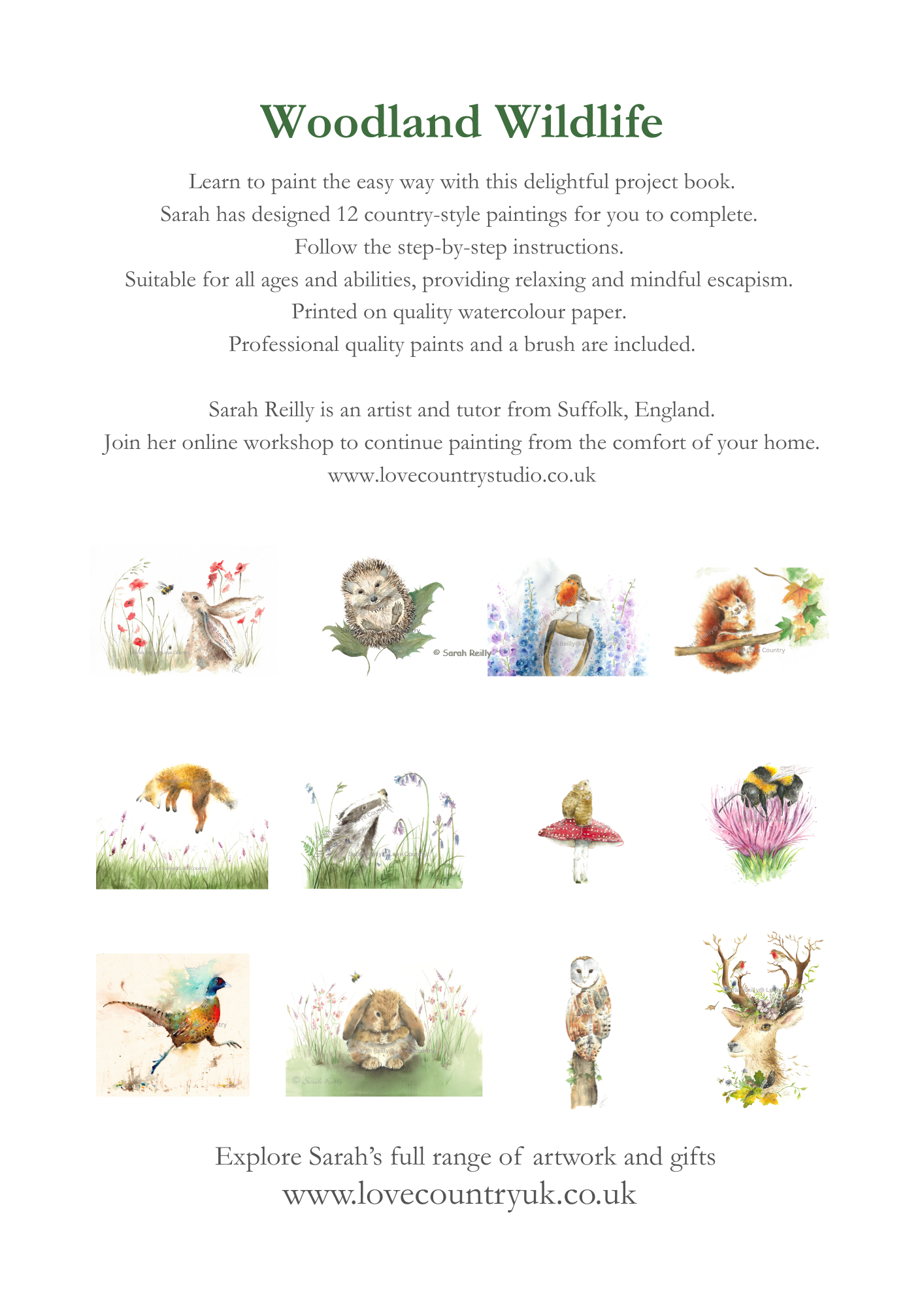 Watercolour Workbooks - Woodland Wildlife - Image 3