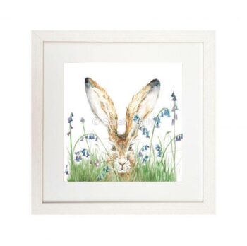 Curious Hare - Framed Signature Print
