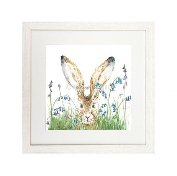 Curious Hare - Framed Signature Print