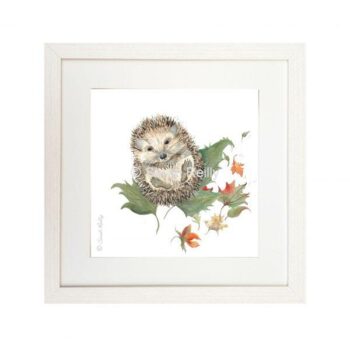 Mr Prickles Hedgehog - Framed Signature Print