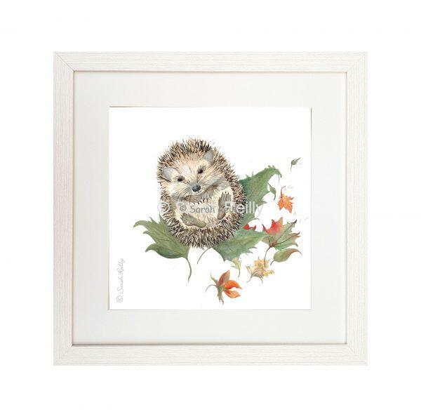 Mr Prickles Hedgehog - Framed Signature Print